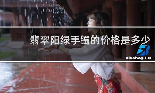 翡翠阳绿手镯的价格是多少