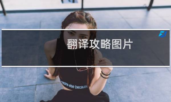 翻译攻略图片