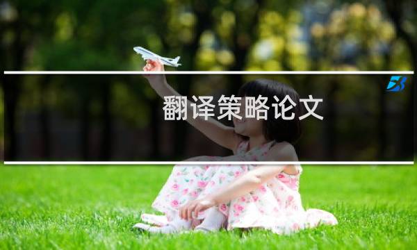 翻译策略论文