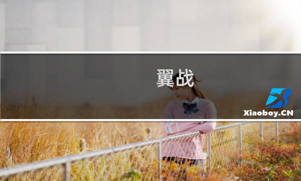 翼战 攻略