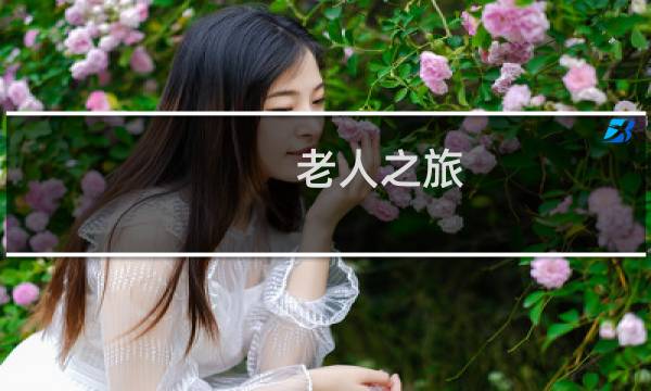 老人之旅 攻略