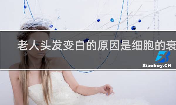 老人头发变白的原因是细胞的衰老 过程中有关酶的
