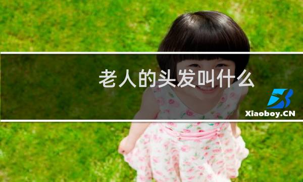 老人的头发叫什么