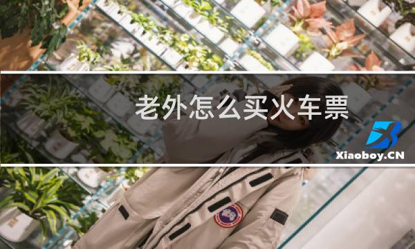 老外怎么买火车票