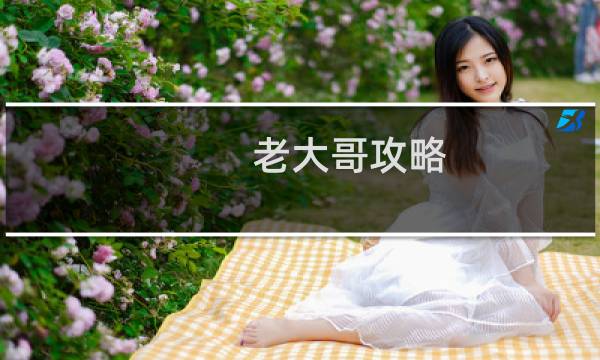 老大哥攻略