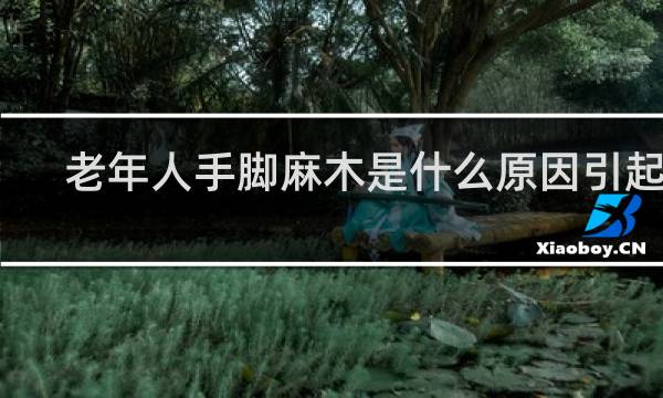 老年人手脚麻木是什么原因引起的