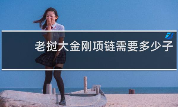 老挝大金刚项链需要多少子