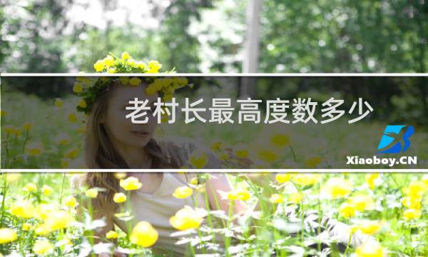 老村长最高度数多少