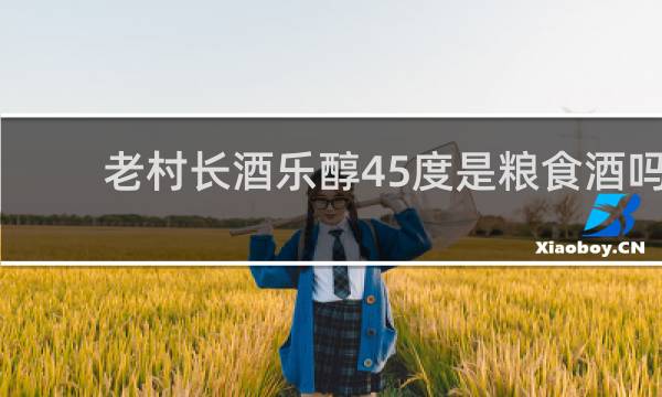老村长酒乐醇45度是粮食酒吗