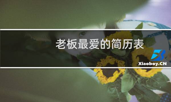 老板最爱的简历表