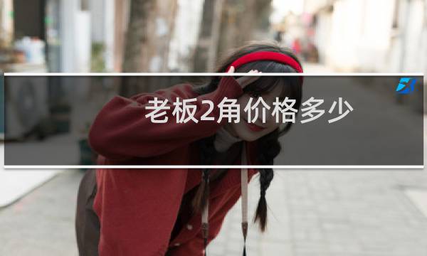 老板2角价格多少