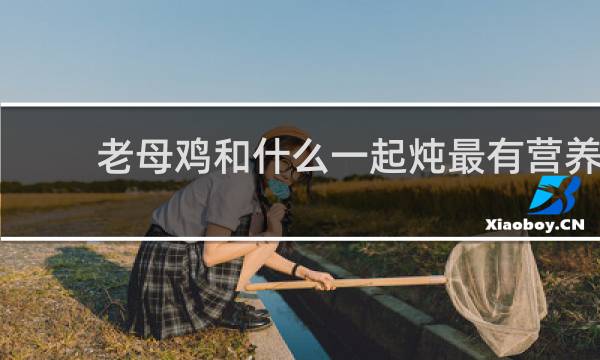 老母鸡和什么一起炖最有营养