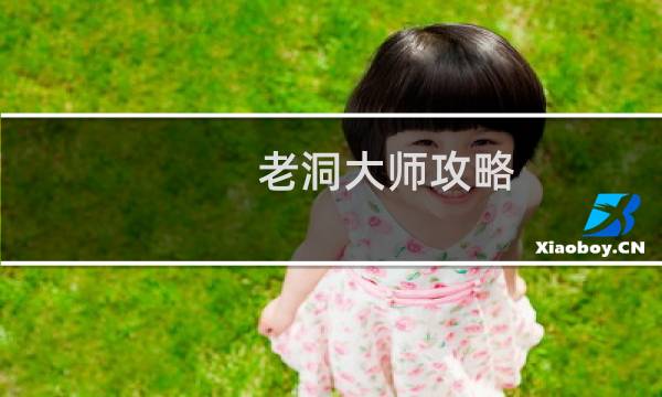 老洞大师攻略