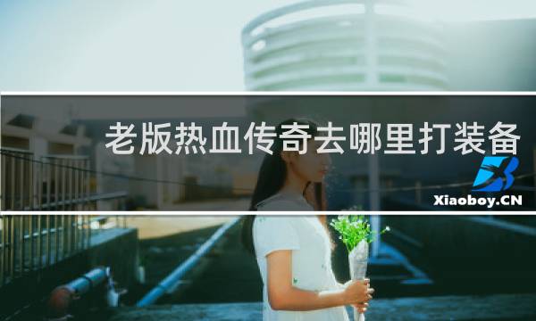 老版热血传奇去哪里打装备