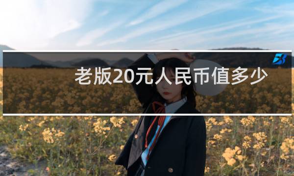 老版20元人民币值多少