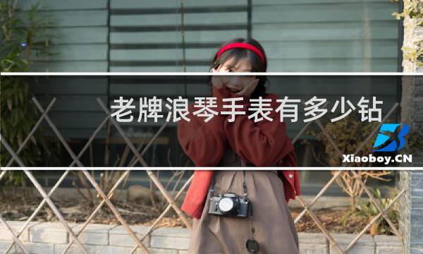 老牌浪琴手表有多少钻