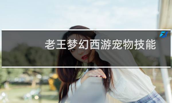 老王梦幻西游宠物技能