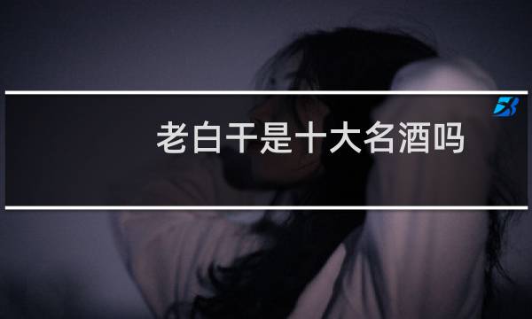 老白干是十大名酒吗
