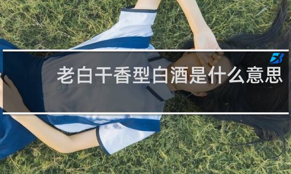 老白干香型白酒是什么意思