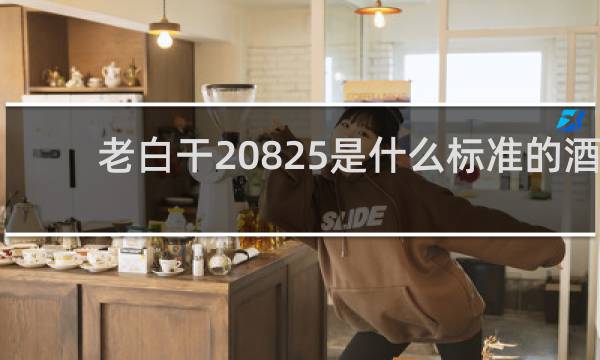 老白干20825是什么标准的酒