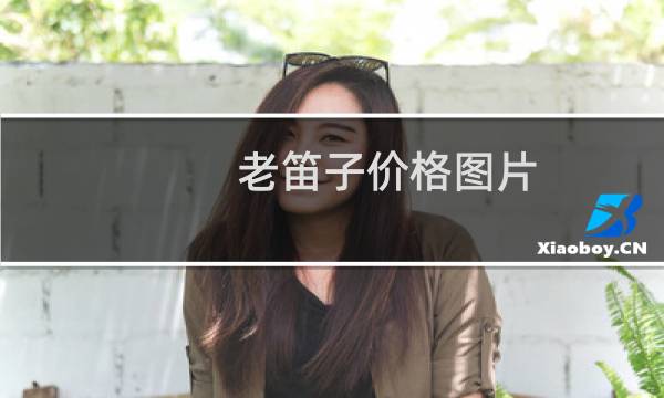 老笛子价格图片
