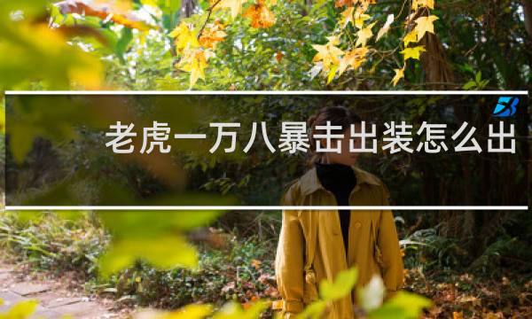 老虎一万八暴击出装怎么出
