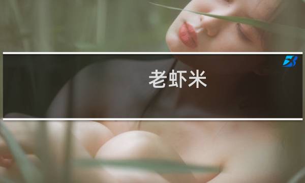 老虾米 攻略