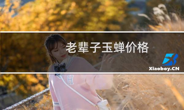 老辈子玉蝉价格
