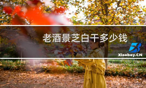 老酒景芝白干多少钱