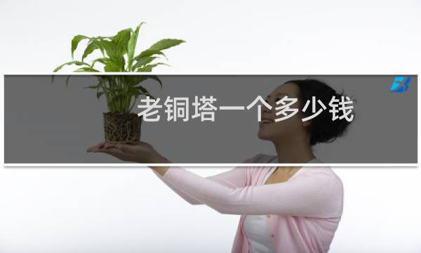 老铜塔一个多少钱