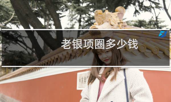 老银项圈多少钱