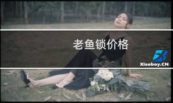 老鱼锁价格