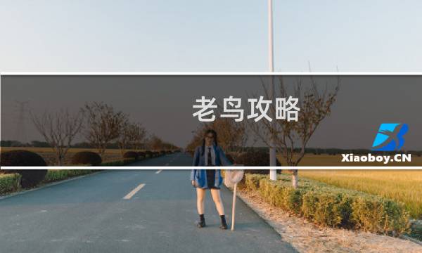 老鸟攻略