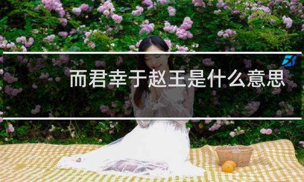 而君幸于赵王是什么意思