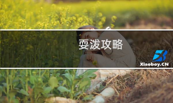 耍泼攻略
