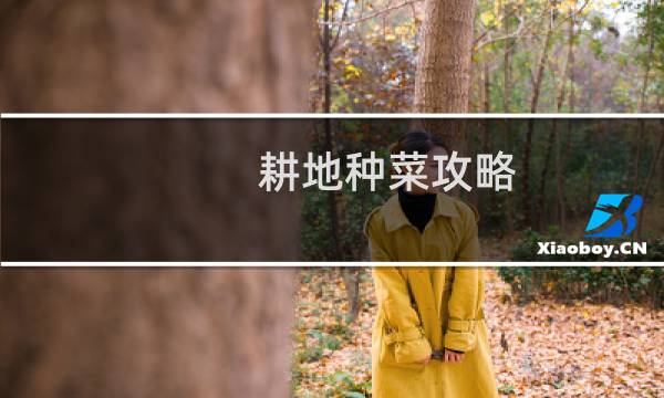 耕地种菜攻略