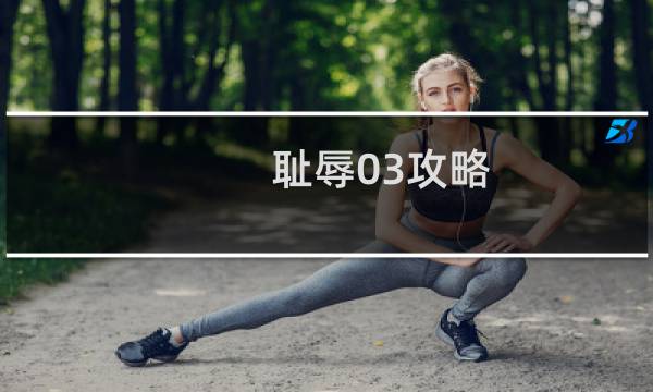 耻辱03攻略