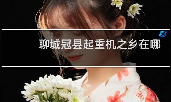聊城冠县起重机之乡在哪