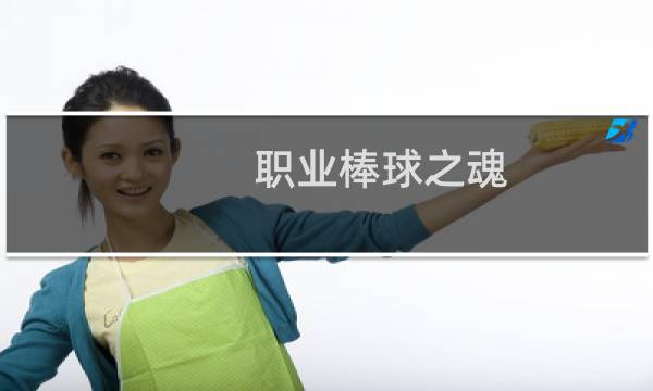 职业棒球之魂 攻略