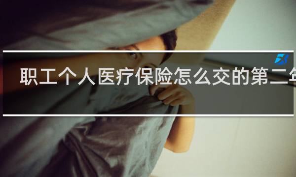 职工个人医疗保险怎么交的第二年的
