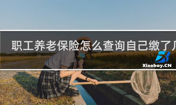 职工养老保险怎么查询自己缴了几年