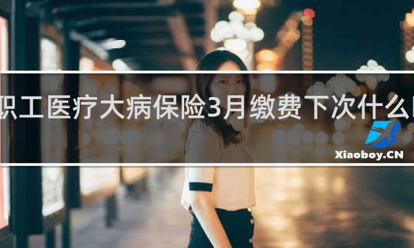 职工医疗大病保险3月缴费下次什么时候交