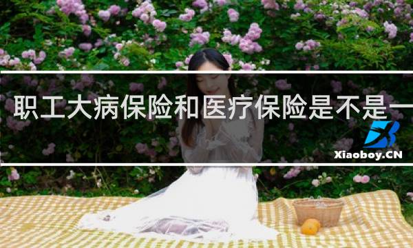 职工大病保险和医疗保险是不是一回事