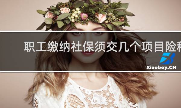 职工缴纳社保须交几个项目险种