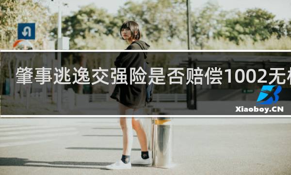 肇事逃逸交强险是否赔偿1002无标题