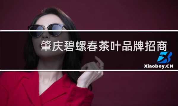 肇庆碧螺春茶叶品牌招商