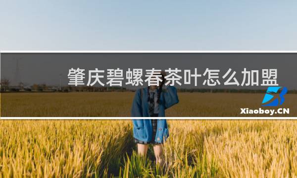 肇庆碧螺春茶叶怎么加盟