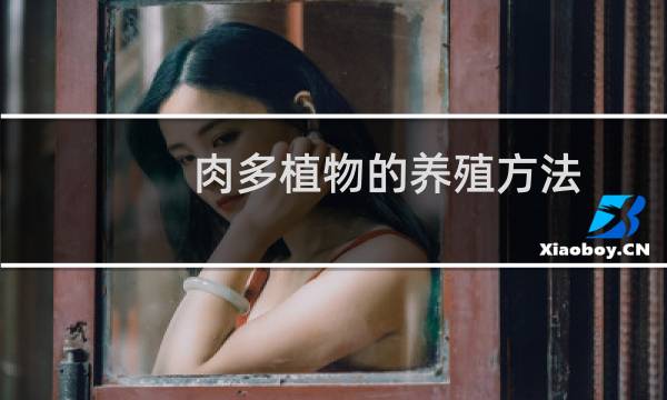 肉多植物的养殖方法