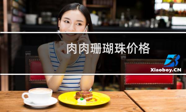 肉肉珊瑚珠价格