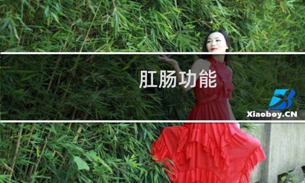 肛肠功能